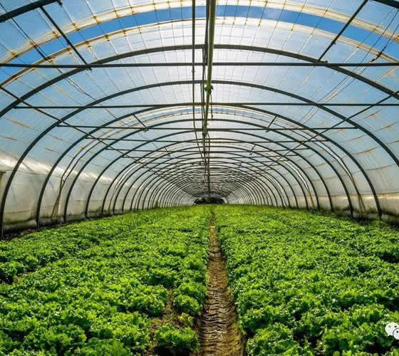 紫外线吸收剂326